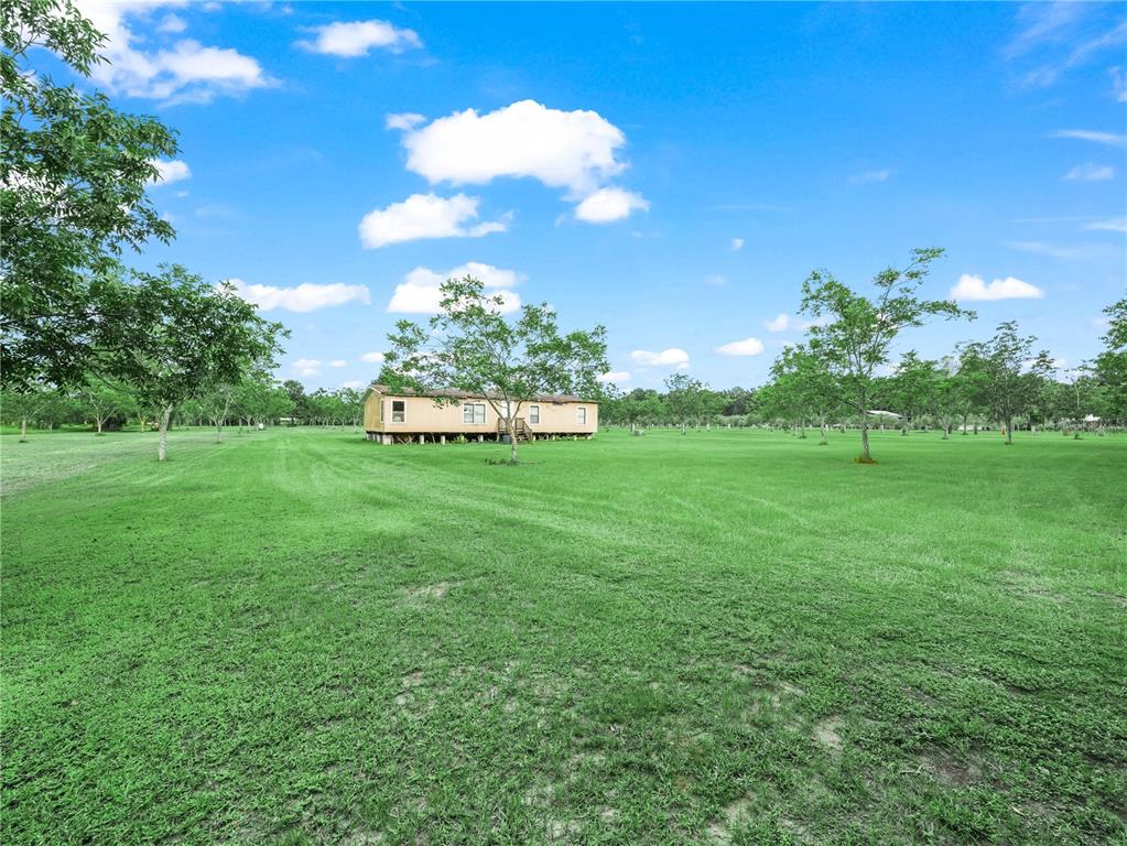 8564 CAREY ROAD, LITHIA, FL — photo 4 of 9