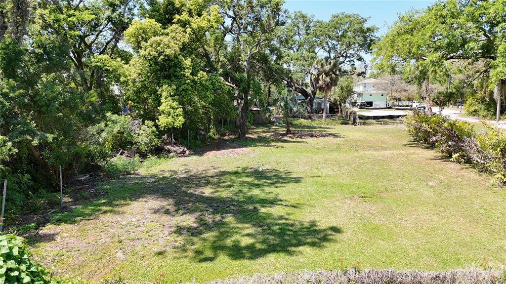 An elevated view of a vacant, grassy residential lot surrounded by mature trees and foliage — 429 ST LOUIS AVENUE, PALM HARBOR, FL