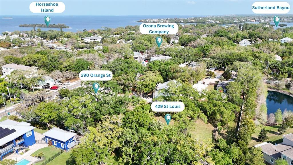 This aerial view shows a residential neighborhood with trees, nearby water, and labeled landmarks — 429 ST LOUIS AVENUE, PALM HARBOR, FL