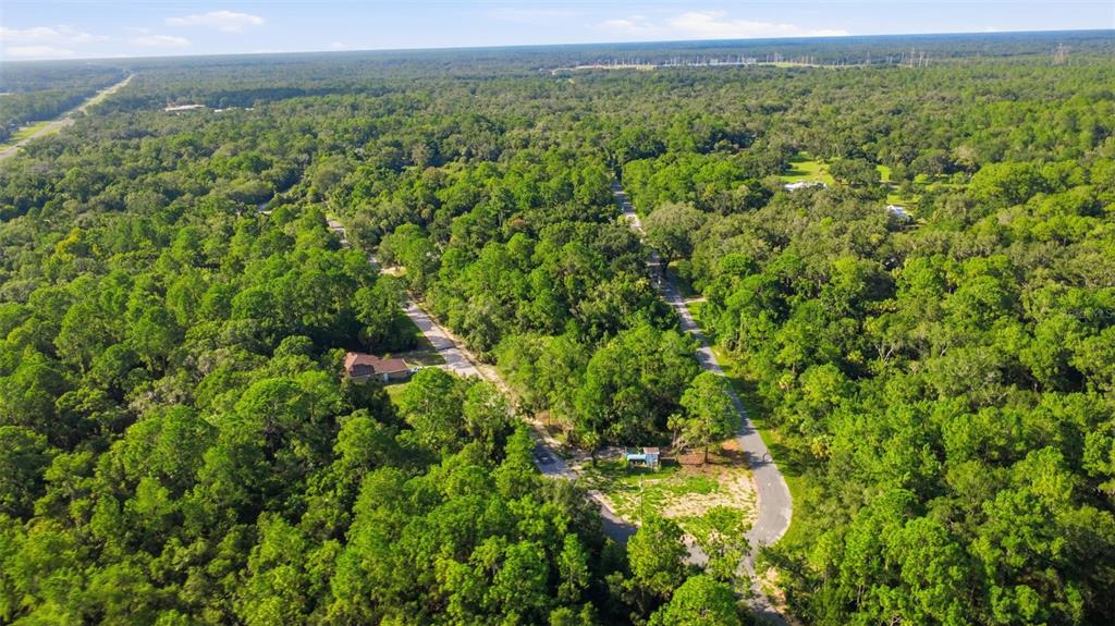 An aerial view shows a paved road winding through a dense, wooded residential area — 5983 N BROOKGREEN DRIVE, CRYSTAL RIVER, FL