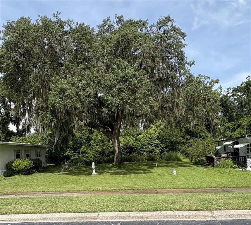 A large oak tree with Spanish moss stands in the front yard of a house — 29129 JOHNSTON ROAD UNIT 2510, DADE CITY, FL