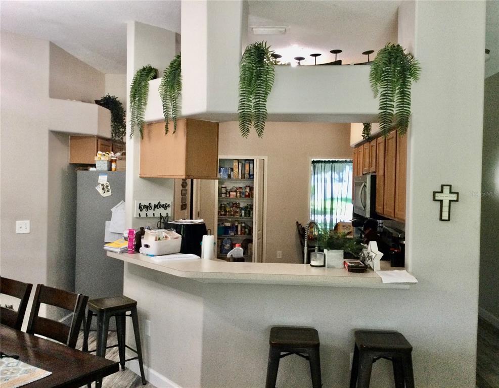 A kitchen with a breakfast bar, wooden cabinets, and a pantry viewed from a dining area — 10728 SHADY PRESERVE DRIVE, RIVERVIEW, FL
