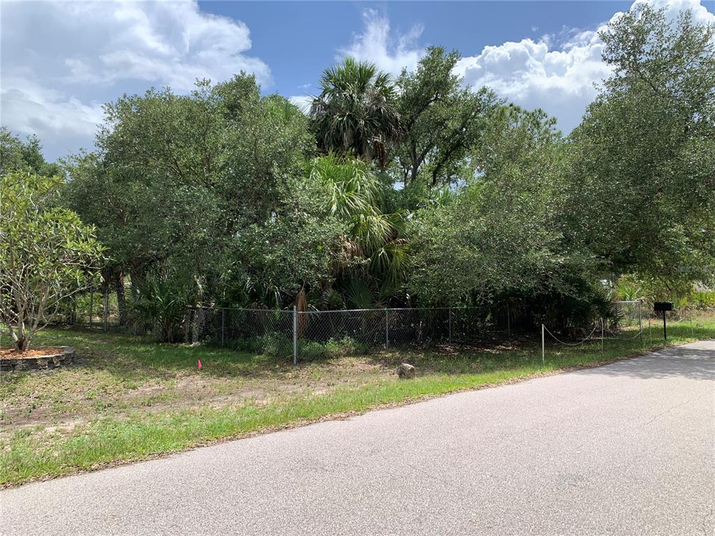 A chain-link fence surrounds a wooded lot with mature trees and palms along a road — 17489 CLOVER, PORT CHARLOTTE, FL