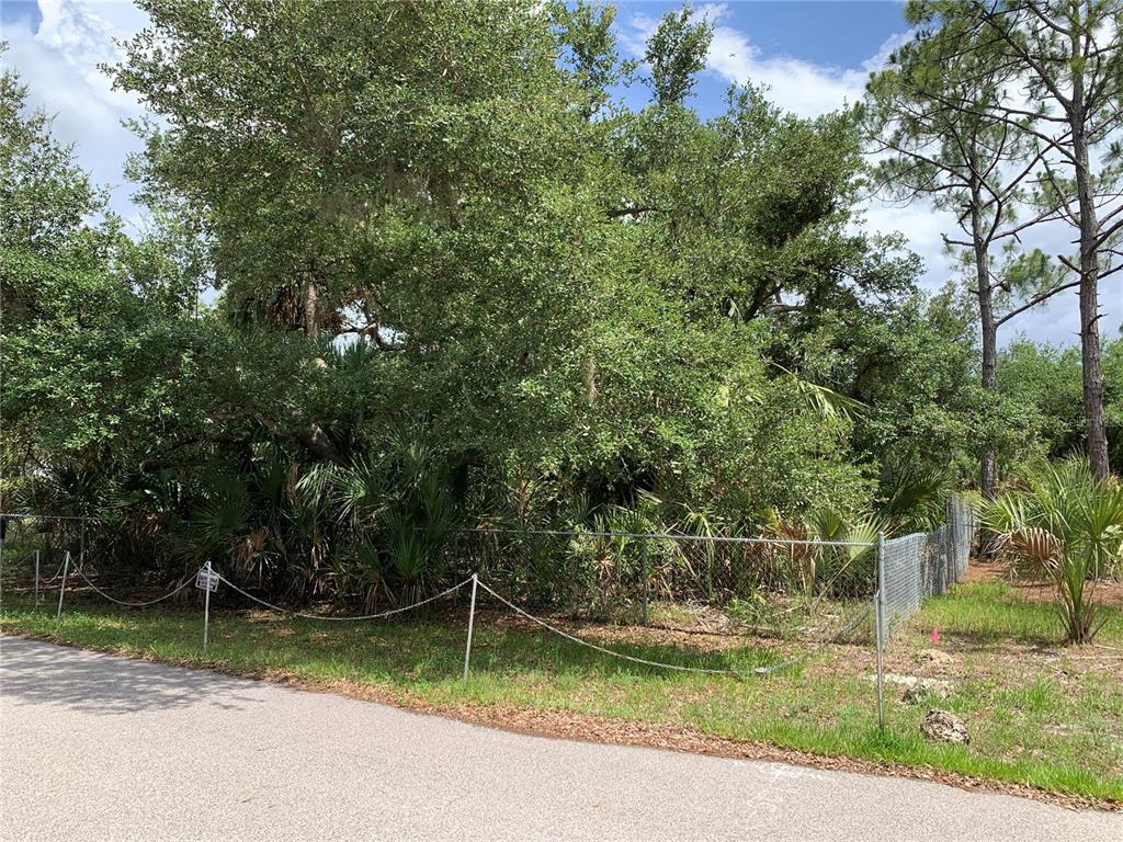 A chain-link fence borders a wooded lot with dense trees and palmetto bushes — 17489 CLOVER, PORT CHARLOTTE, FL