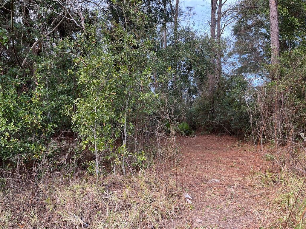 NW 20TH ST, OCALA, FL — photo 2 of 3