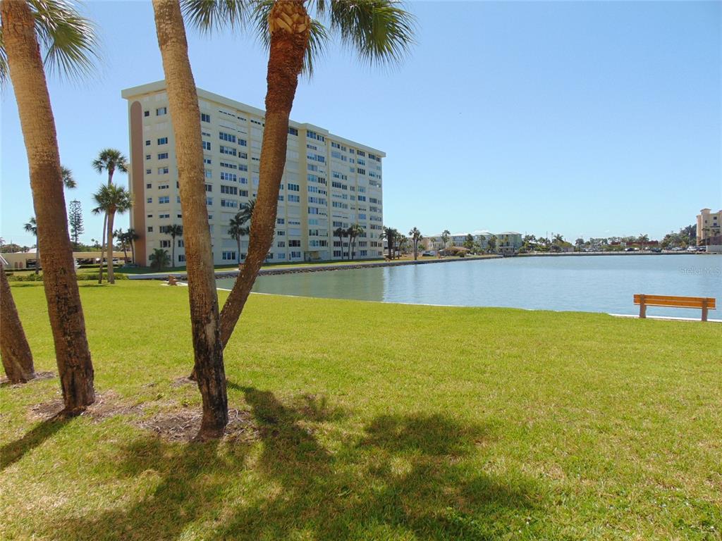 A grassy lawn with palm trees overlooks a body of water and a large apartment building — 4775 COVE CIRCLE N UNIT 104, ST PETERSBURG, FL
