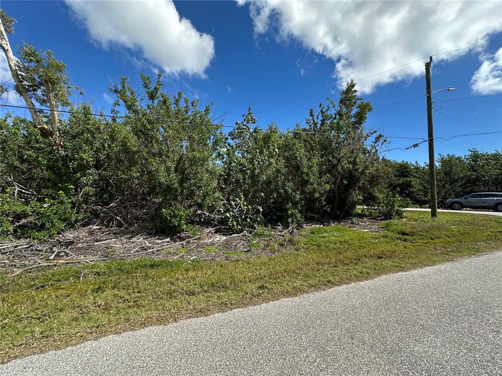 A vacant, overgrown lot sits beside a paved road under a bright blue sky — 4315 GARDEN ROAD, PORT CHARLOTTE, FL