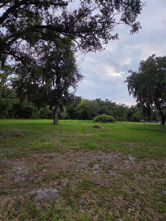 A grassy, open lot features several large, mature trees under a cloudy sky — 10716 MCINTOSH ROAD, THONOTOSASSA, FL