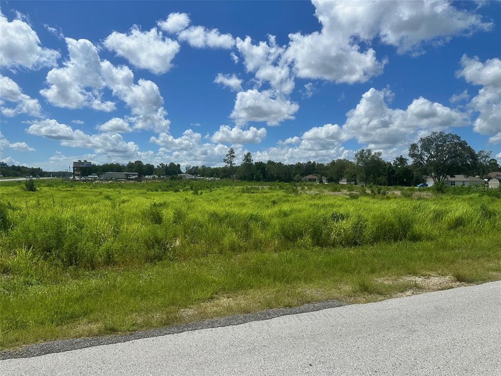 0 HWY 441, SUMMERFIELD, FL — photo 3 of 5