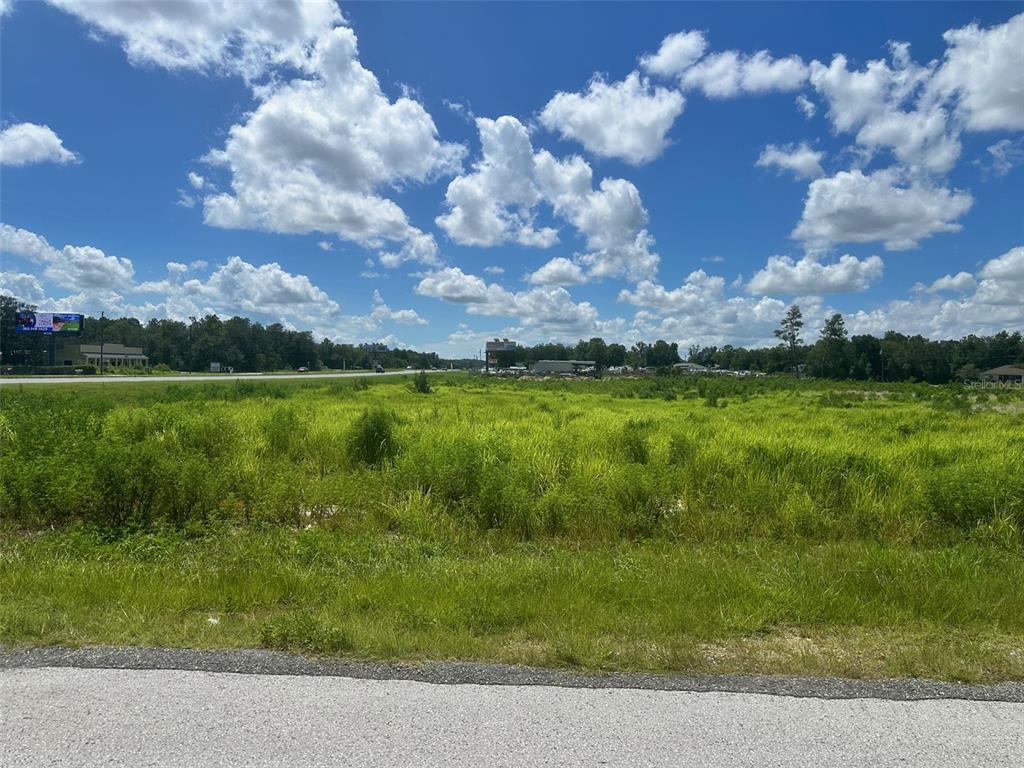 0 HWY 441, SUMMERFIELD, FL — photo 4 of 5