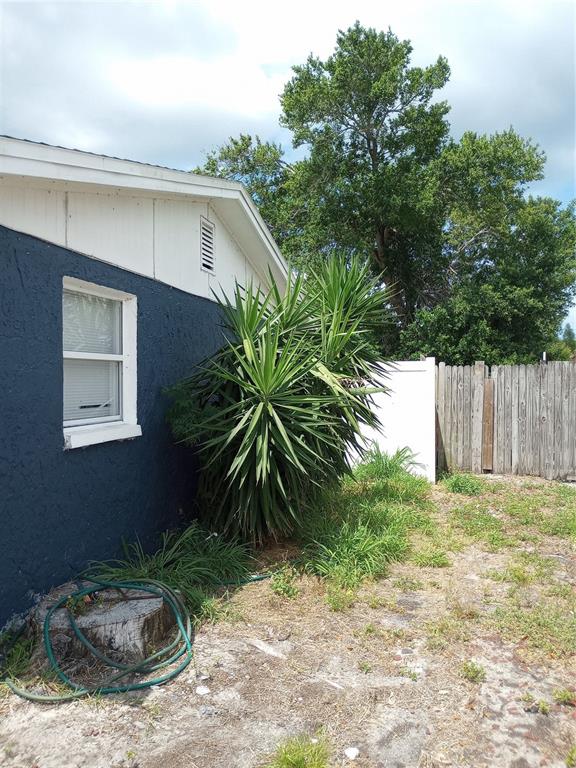 The exterior of a house with dark blue stucco walls, a white gable, and a yucca plant — 1435 WHITEHALL LANE, HOLIDAY, FL
