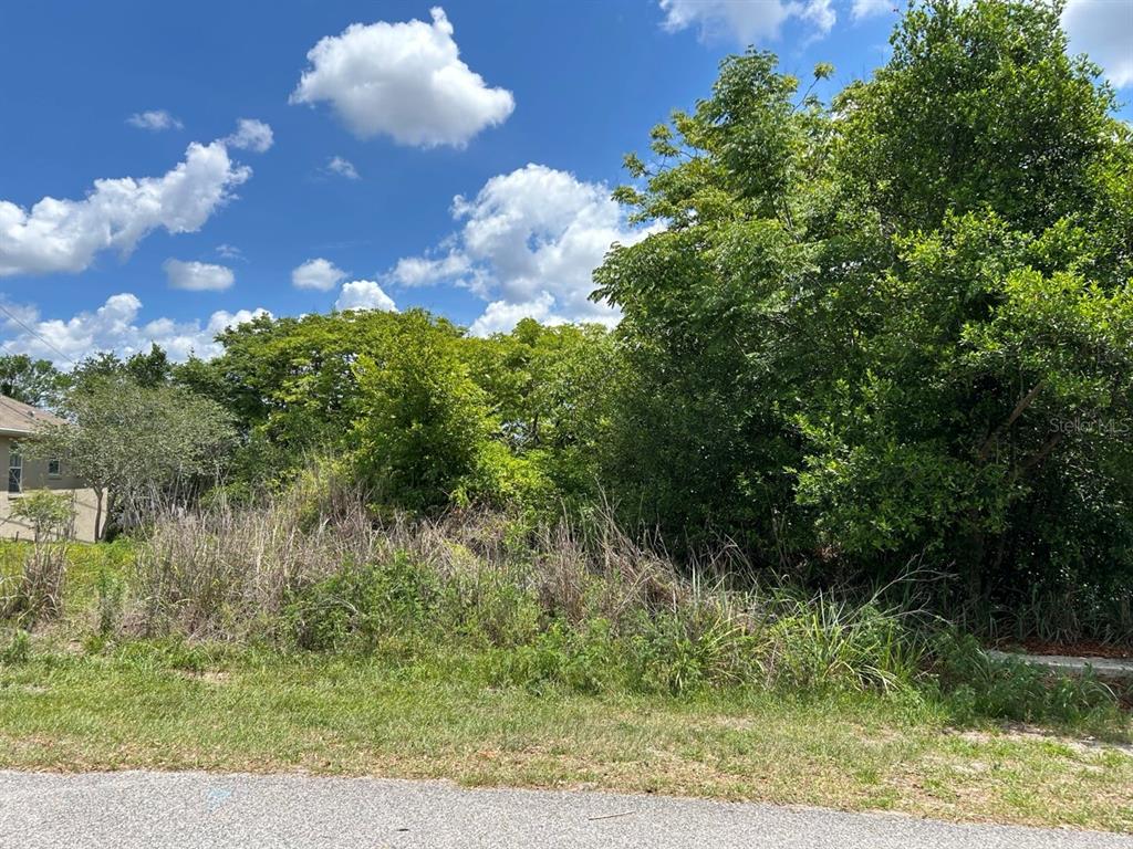 A vacant, overgrown lot with trees and shrubs sits next to a residential house — 2055 E PRAIRIE CIR #50, DELTONA, FL