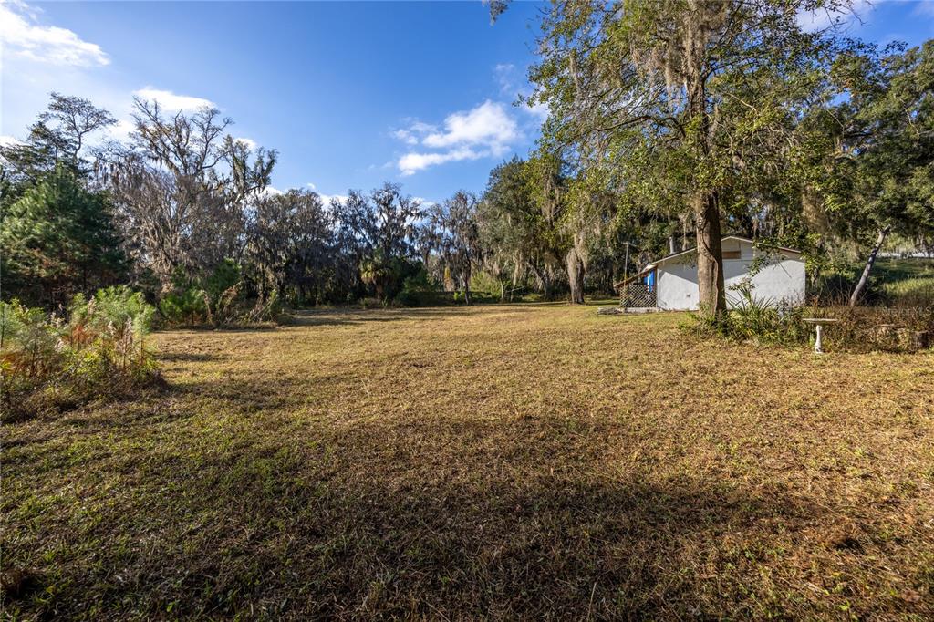 A grassy, open lot features a small white shed near mature trees under a blue sky — 560 NW 39TH ROAD, GAINESVILLE, FL