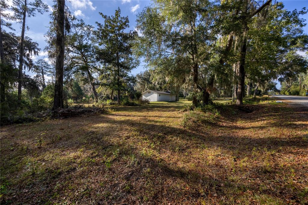 A small white building sits on a grassy lot surrounded by large, moss-covered trees — 560 NW 39TH ROAD, GAINESVILLE, FL