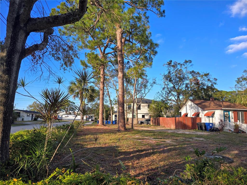 A vacant grassy lot features several tall pine trees and a neighboring house — 237 50TH AVENUE N, ST PETERSBURG, FL