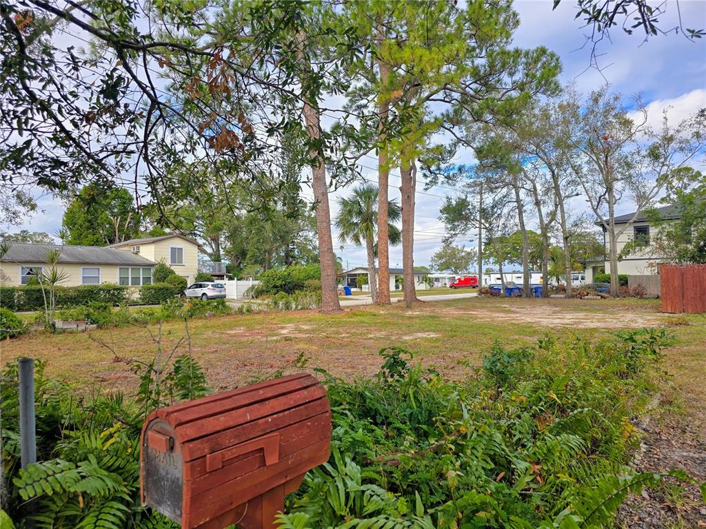 A vacant, grassy lot with several tall pine trees and a wooden mailbox in front — 237 50TH AVENUE N, ST PETERSBURG, FL