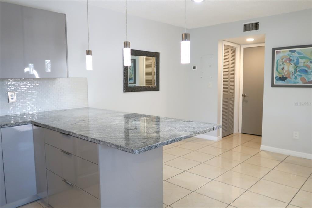 A modern kitchen features gray cabinets, granite countertops, a large island, and three pendant lights — 15202 E POND WOODS DRIVE UNIT 9, TAMPA, FL