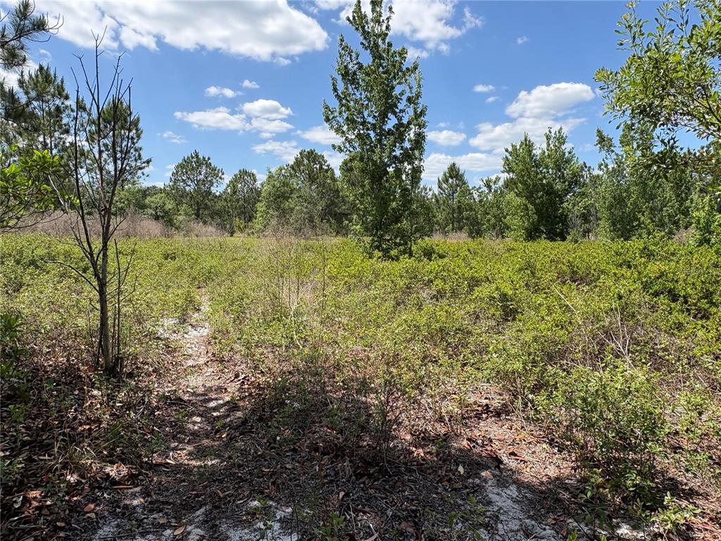 SAN JUAN AVE LOT 29