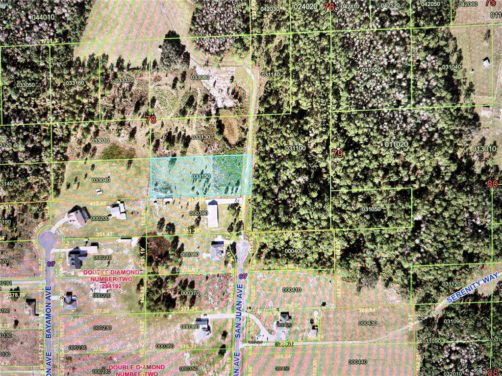 This is an aerial map showing property parcel lines and road layouts in a wooded area — SAN JUAN AVE LOT 29, POLK CITY, FL