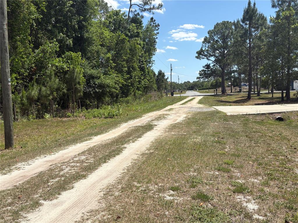 A dirt driveway leads from a paved road toward a wooded area — SAN JUAN AVE LOT 29, POLK CITY, FL