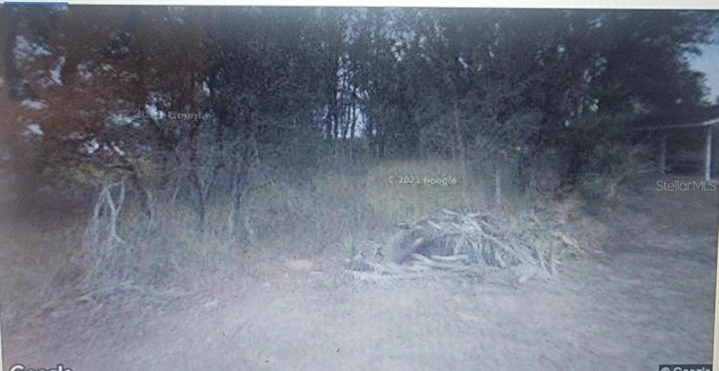 A view of a wooded, undeveloped lot with a pile of brush in the foreground — 3126 W ANSONIA ROAD S, AVON PARK, FL