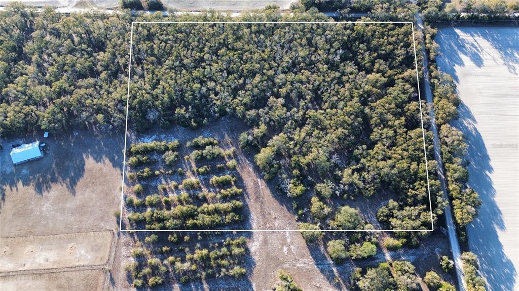 3829 RODEO ROAD, BELL, FL — photo 3 of 9