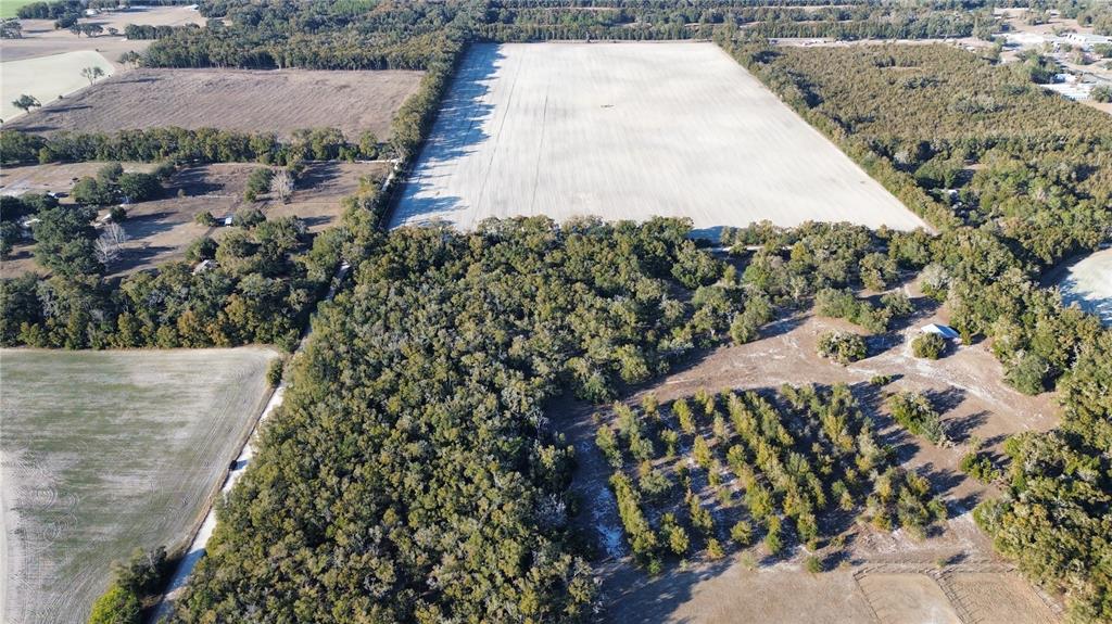 3829 RODEO ROAD, BELL, FL — photo 4 of 9