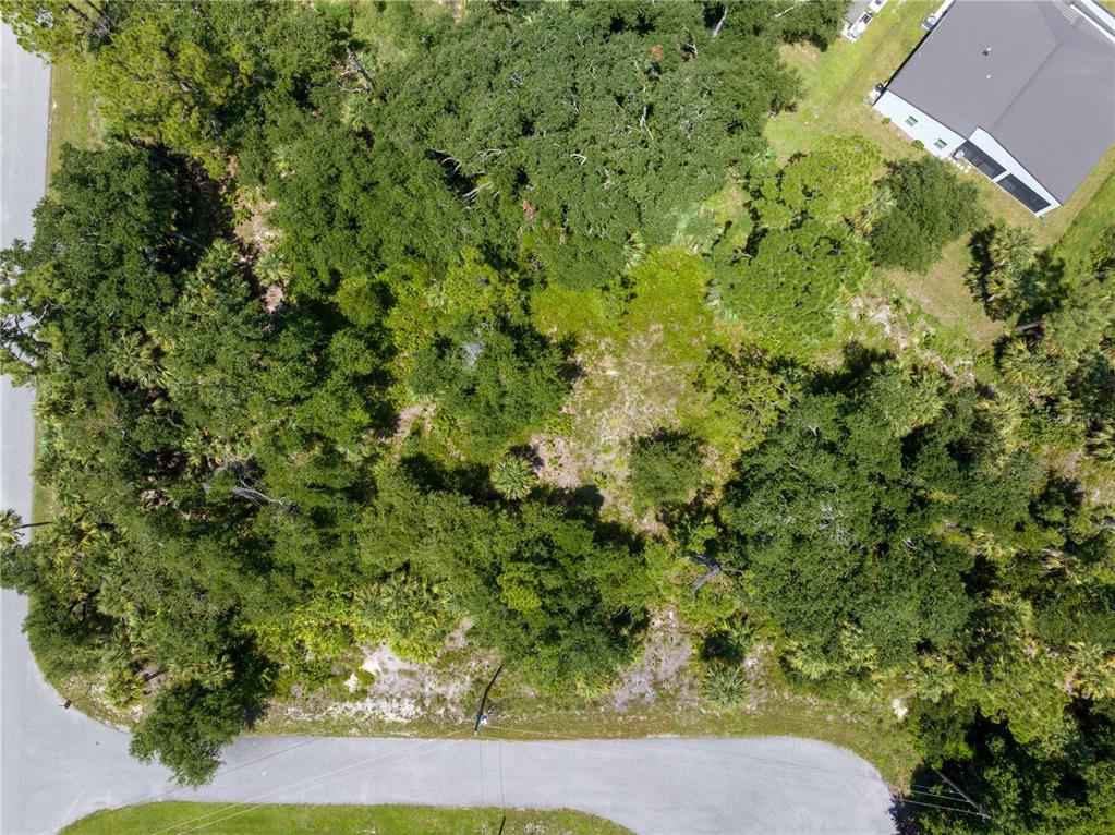 An aerial view shows a wooded, undeveloped residential lot next to a house — POMONA CT, NORTH PORT, FL