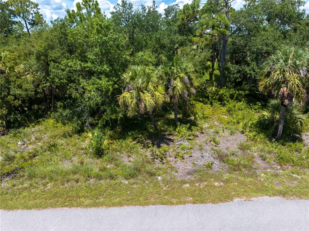 An elevated view of a vacant, wooded lot bordering a paved road — POMONA CT, NORTH PORT, FL