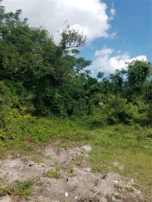 A view of a vacant, overgrown lot with sandy ground and dense trees and vegetation — 21 MILWAUKEE AVENUE, PALM COAST, FL