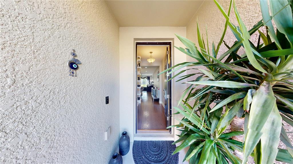 An exterior view of a home entrance with a decorative wall hanging and potted plants — 14223 PONDHAWK LANE, TAMPA, FL