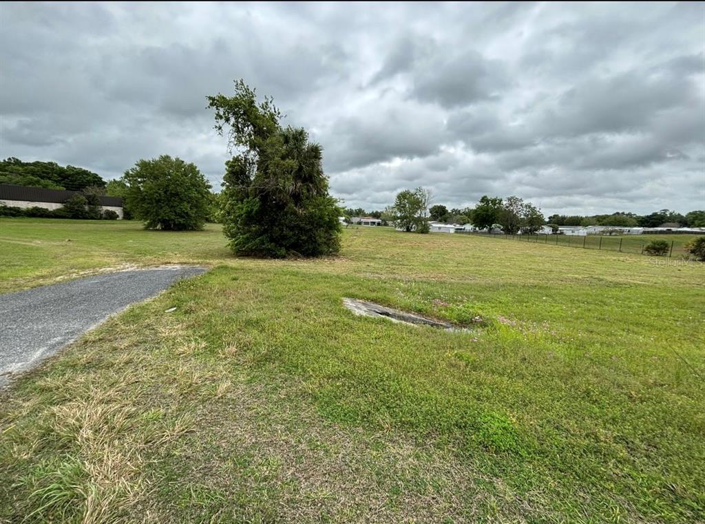 A large, grassy vacant lot features a prominent tree and a concrete drainage structure — TBT SE HWY 484 HIGHWAY SE, BELLEVIEW, FL