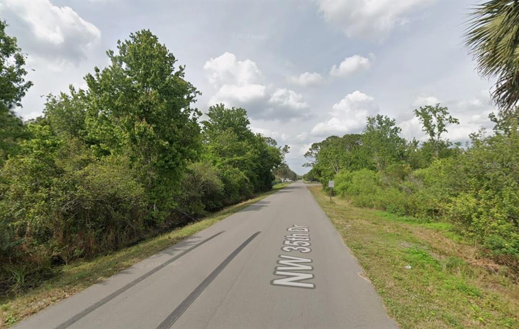 A paved road stretches into the distance, flanked by dense trees and overgrown vegetation — 2515 NW 35TH DRIVE, OKEECHOBEE, FL