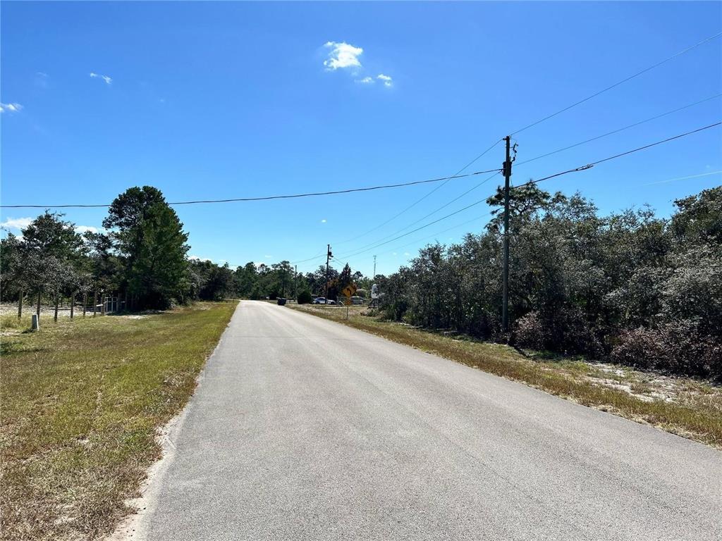 A paved road stretches into the distance, flanked by grassy shoulders and dense wooded areas — WOODSTORK WAY, FROSTPROOF, FL