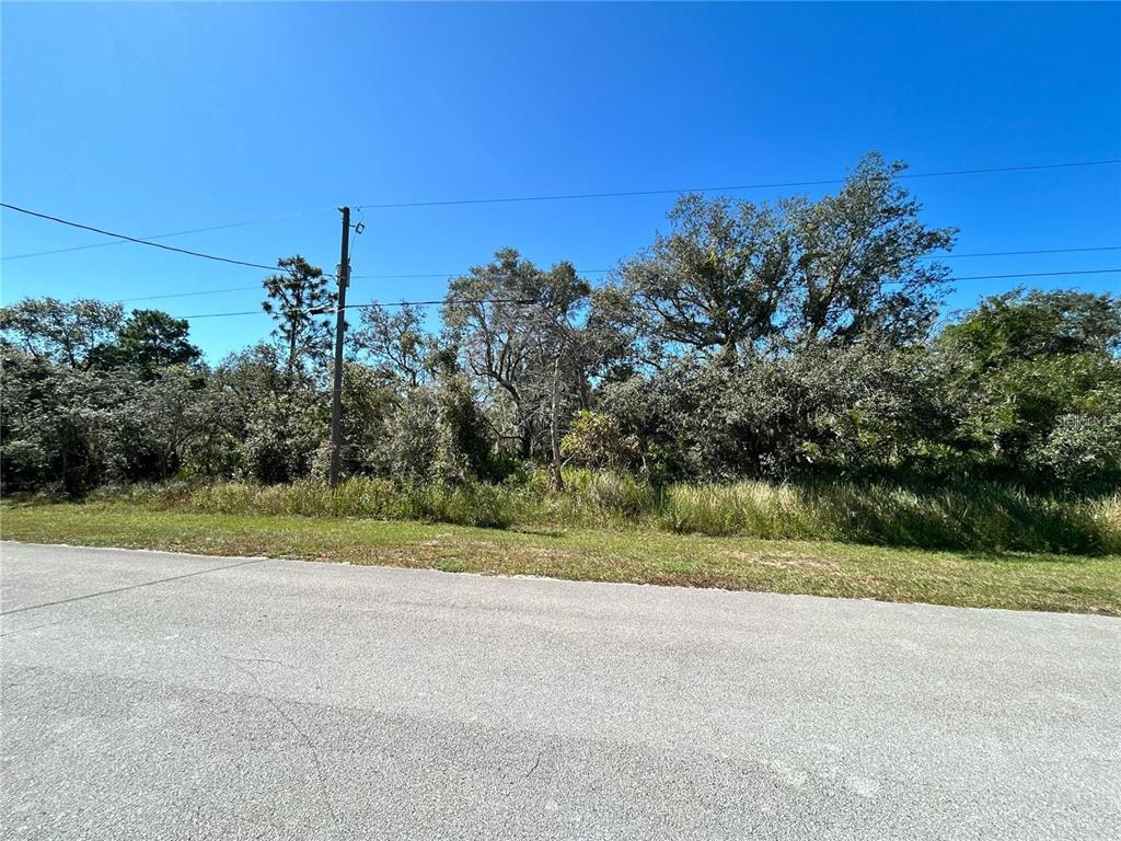 A paved road runs in front of a wooded lot with a utility pole — WOODSTORK WAY, FROSTPROOF, FL