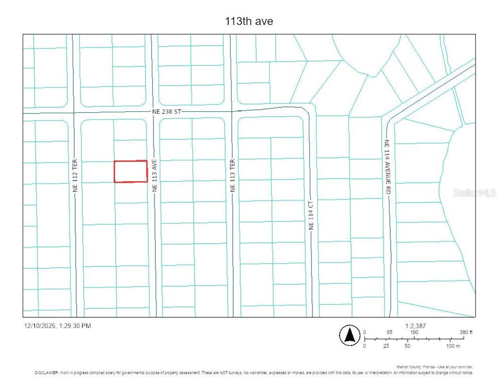This is a property assessment map showing land parcels near NE 238 St — TBD NE 113TH AVENUE, FORT MC COY, FL