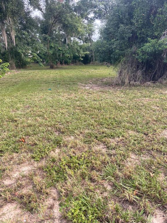 A grassy, partially shaded vacant lot with scattered trees and sandy soil — 1000 W MONTROSE STREET, CLERMONT, FL