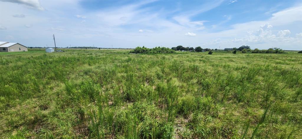 A large, flat, grassy vacant lot under a blue sky with scattered clouds — WEITA ROAD, BARTOW, FL