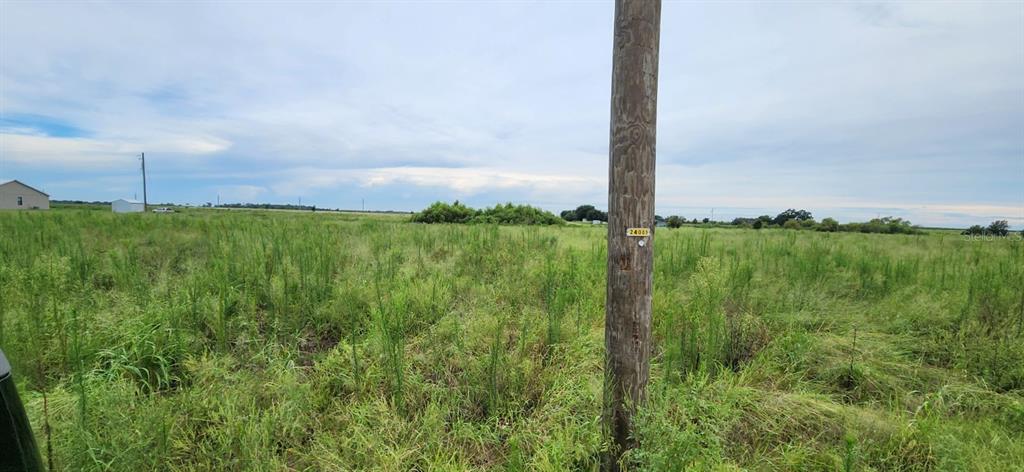 A utility pole stands in the foreground of a large, grassy, undeveloped field under cloudy skies — WEITA ROAD, BARTOW, FL