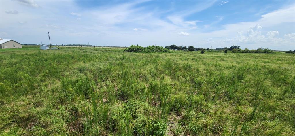 A wide, flat, grassy field under a blue sky with scattered clouds — WEITA ROAD, BARTOW, FL