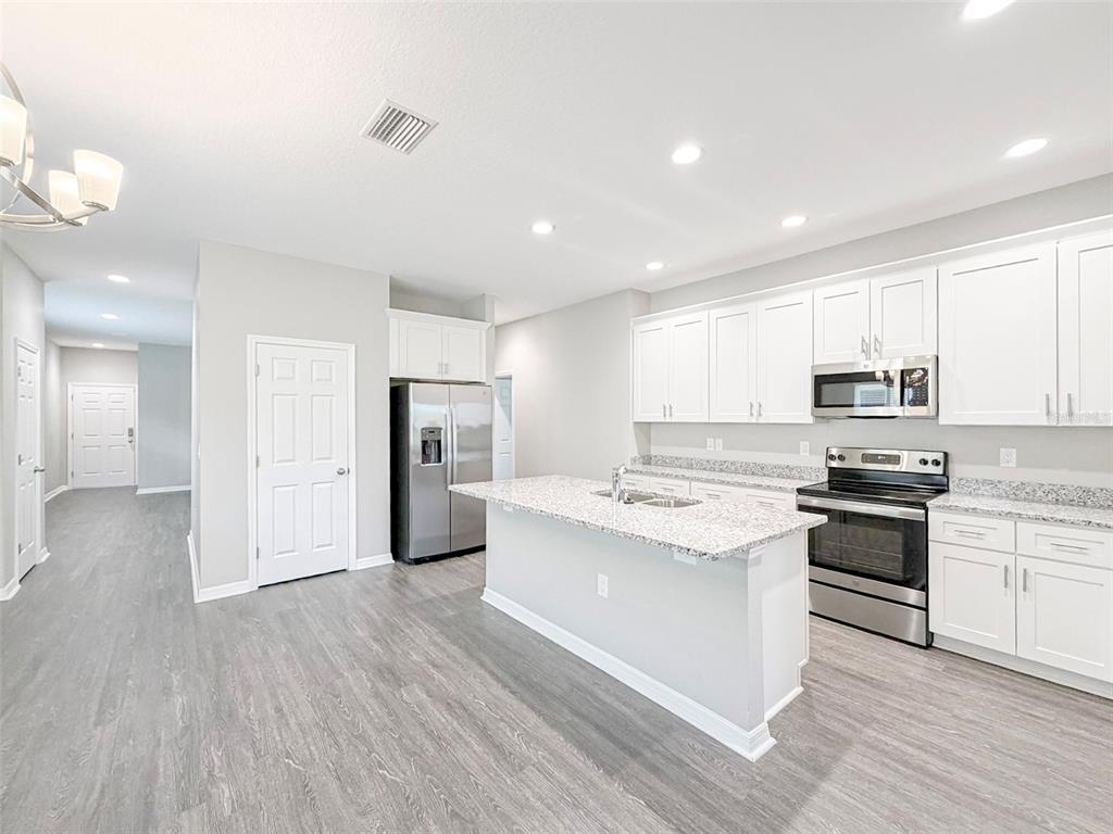 A kitchen with white cabinets, granite countertops, stainless steel appliances, and gray wood-look flooring — 3430 CUP DRIVE, LAKELAND, FL