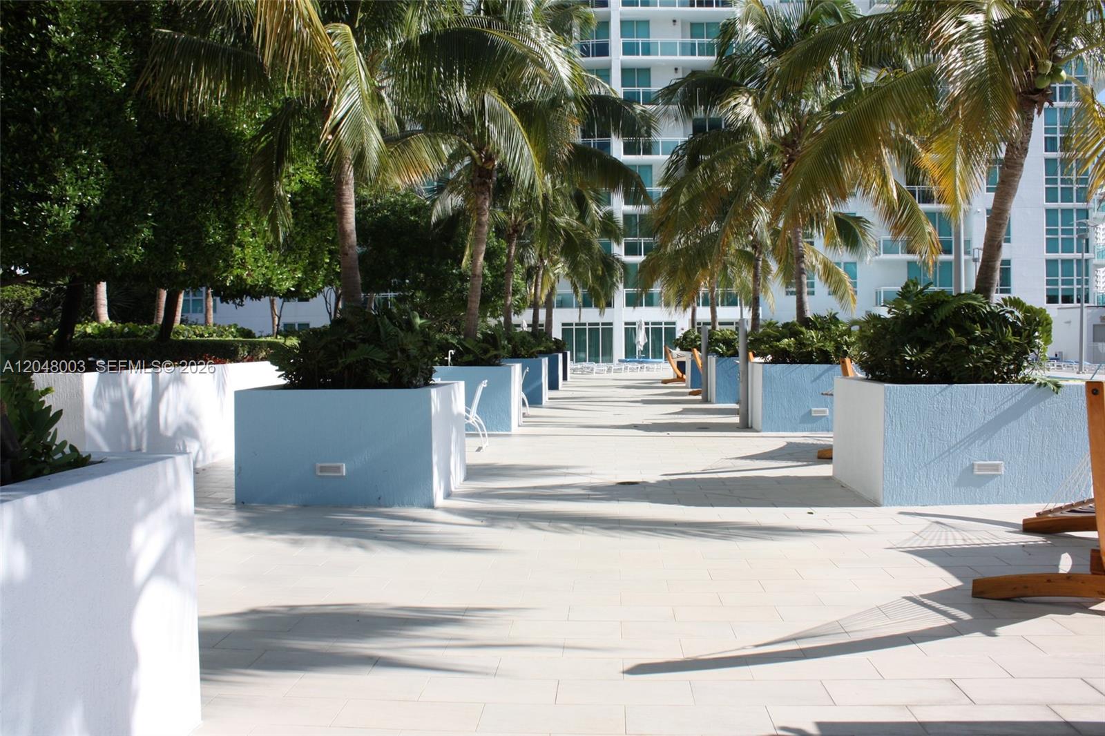 A paved outdoor walkway is lined with palm trees and blue planters near a building — 951 Brickell Ave # 4006, Miami FL 33131, MIAMI, FL