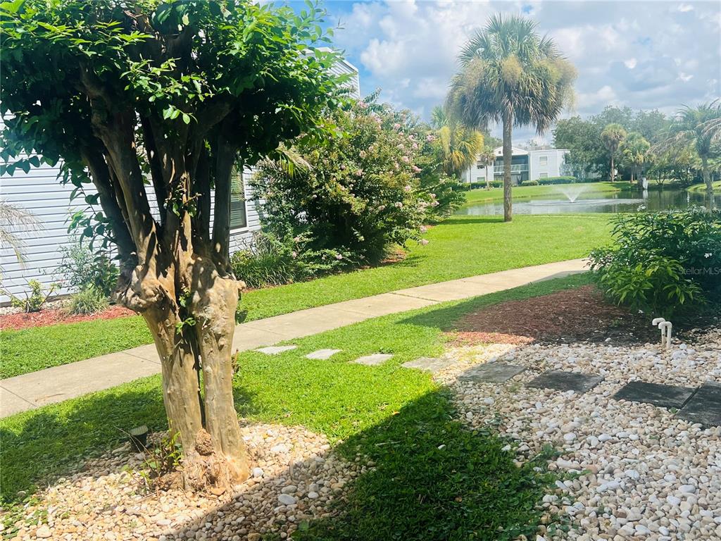 A landscaped yard features a tree, a concrete walkway, and a pond with a fountain — 3941 ATRIUM DRIVE UNIT L3, ORLANDO, FL
