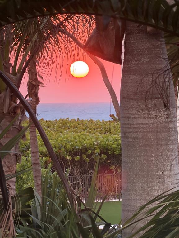A view of a sunset over the ocean framed by palm trees and lush vegetation — 5005 GULF OF MEXICO DRIVE UNIT 4, LONGBOAT KEY, FL