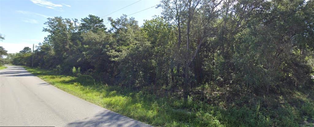 A paved road runs alongside a densely wooded, undeveloped lot under a clear blue sky — 0 AKINS DRIVE, SPRING HILL, FL