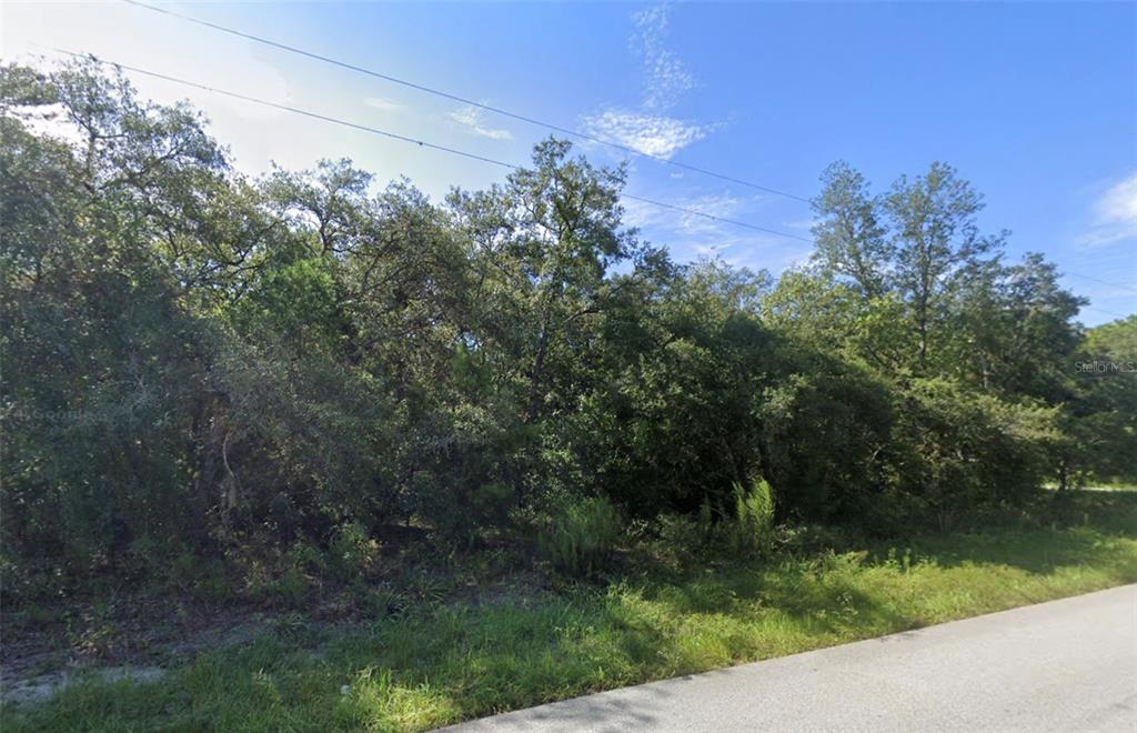 A dense, wooded lot borders a paved road under a bright blue sky — 0 AKINS DRIVE, SPRING HILL, FL