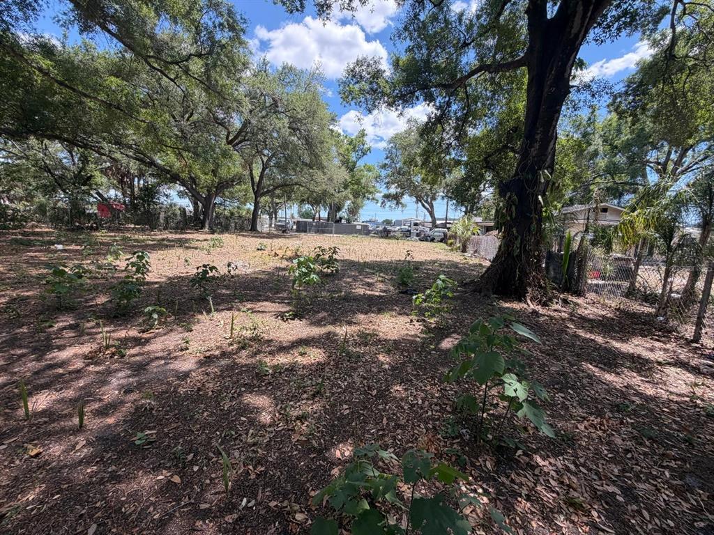 A vacant, wooded lot with scattered small plants and large trees under a blue sky — 4904 E 8TH AVENUE, TAMPA, FL