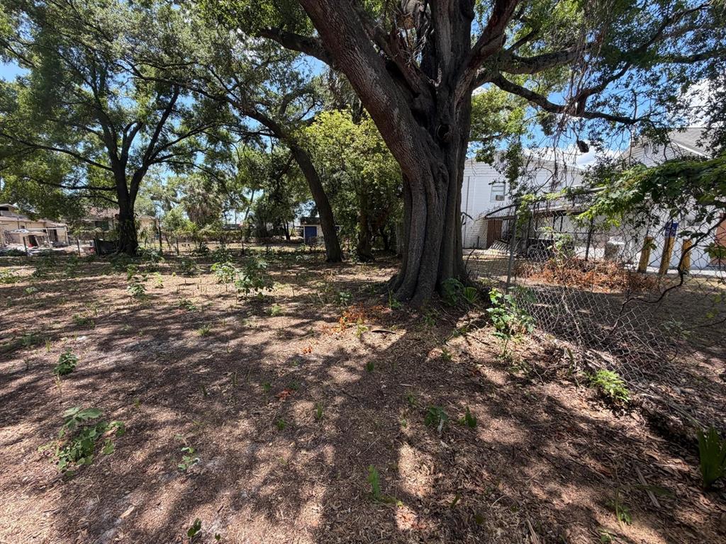 A large, mature tree stands in a grassy, partially shaded lot next to a fence — 4904 E 8TH AVENUE, TAMPA, FL