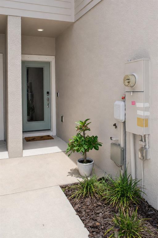 A light-colored exterior entryway features a pale blue front door, a potted plant, and utility boxes — 19657 SHADY OAK DRIVE, LAND O LAKES, FL
