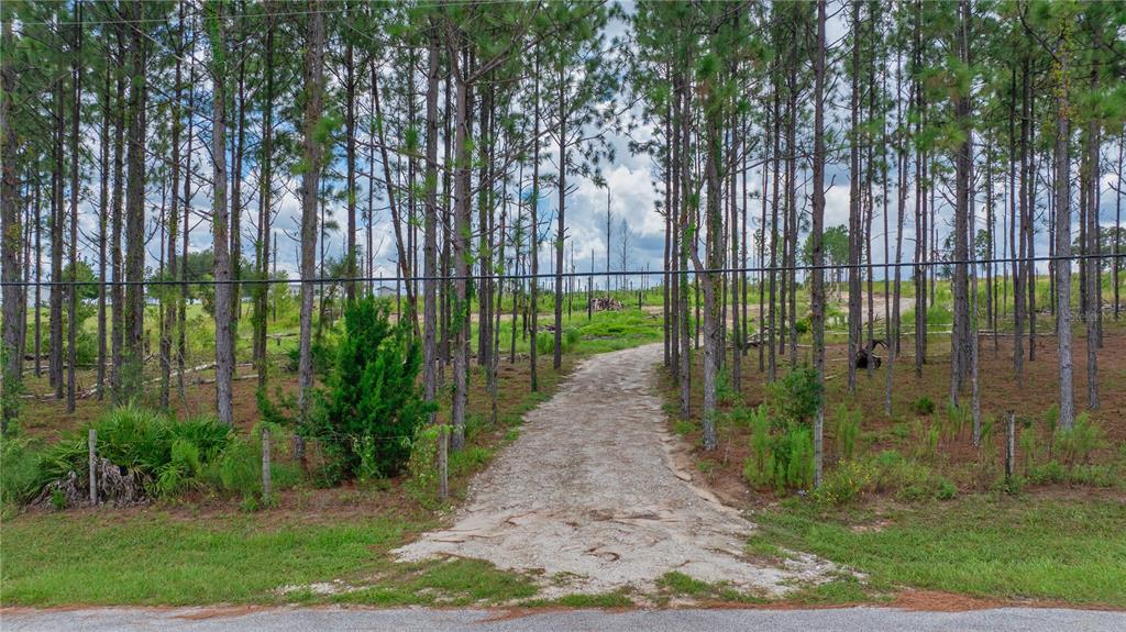 A gravel driveway leads into a wooded lot with tall pine trees and sparse vegetation — 13070 CROWELL ROAD, BROOKSVILLE, FL